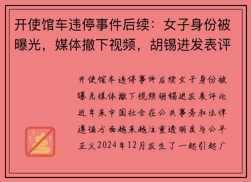 开使馆车违停事件后续：女子身份被曝光，媒体撤下视频，胡锡进发表评论