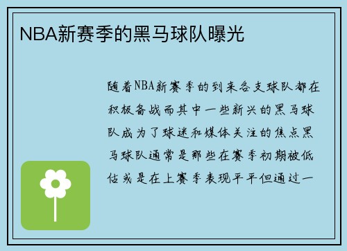 NBA新赛季的黑马球队曝光